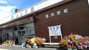 xǖwh
